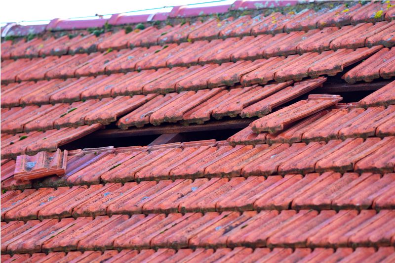Tile Roof Repair in Spring